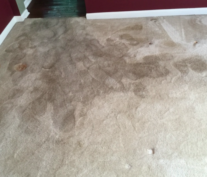 wet carpet from water damage 