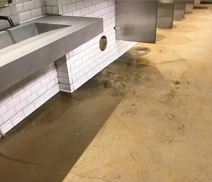 sewage from back up on bathroom floor