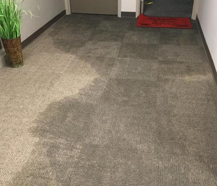 water damaged carpet in hallway of commercial building