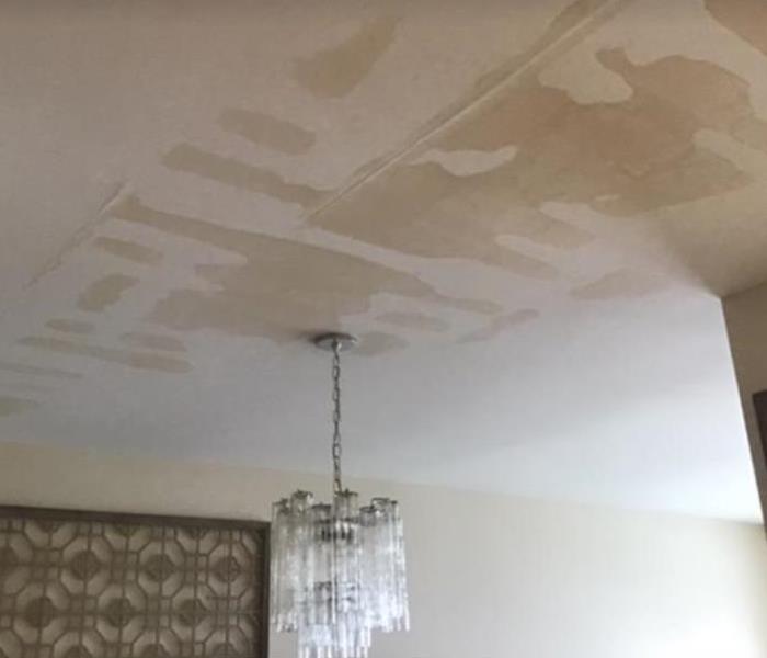 brown spots on white ceiling
