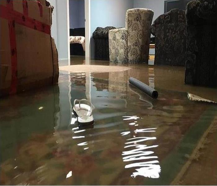 flooded basement and flip flop floating in water